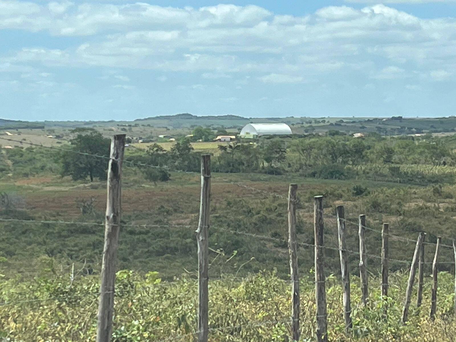 #4 - Área para Venda em Coronel João Sá - BA