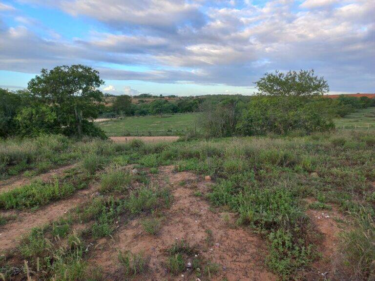 #26 - Terreno para Venda em Coronel João Sá - BA