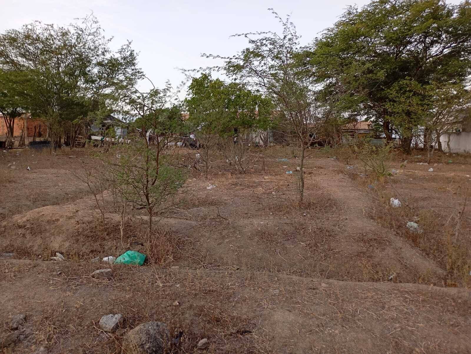 #49 - Área para Venda em Coronel João Sá - BA