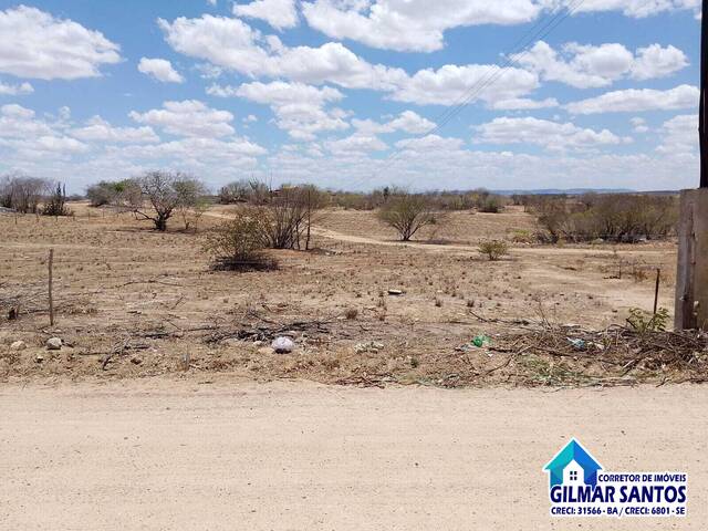 #58 - Área para Venda em Coronel João Sá - BA