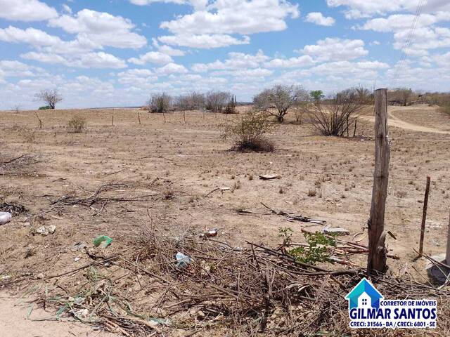 #58 - Área para Venda em Coronel João Sá - BA