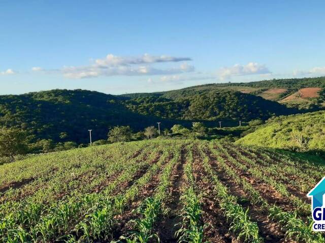 #61 - Área para Venda em Sítio do Quinto - BA - 1