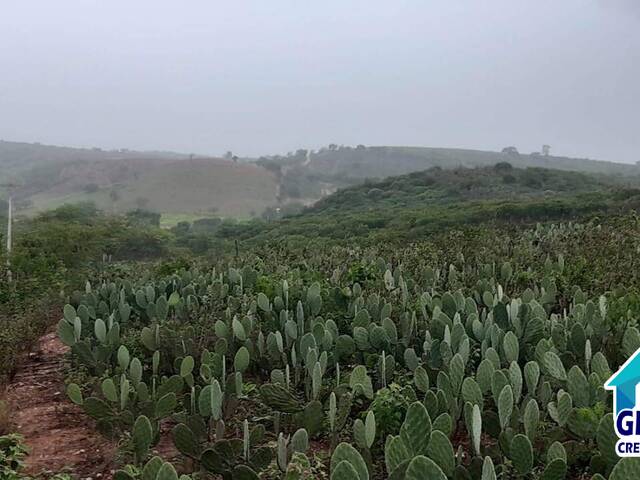 #61 - Área para Venda em Sítio do Quinto - BA - 2