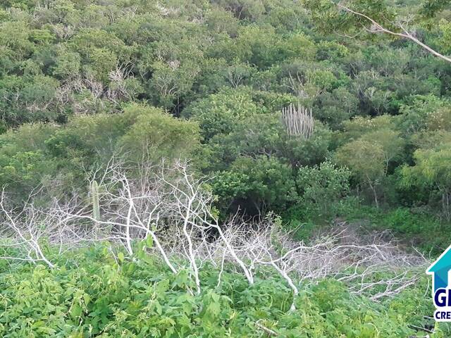 Área para Venda em Sítio do Quinto - 4