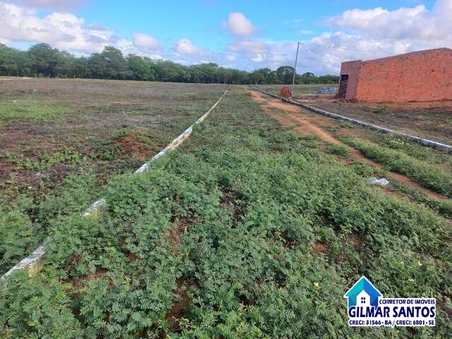 #63 - Área para Venda em Coronel João Sá - BA - 2