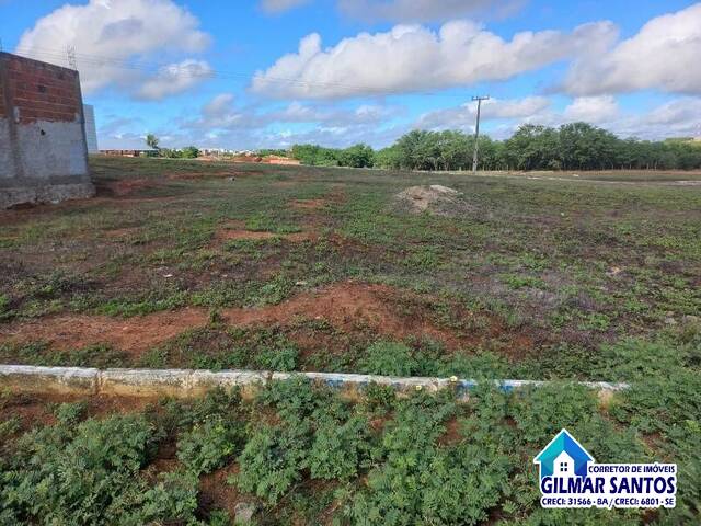 #63 - Área para Venda em Coronel João Sá - BA - 1