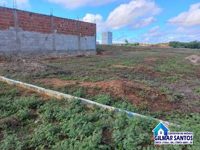#63 - Área para Venda em Coronel João Sá - BA - 3
