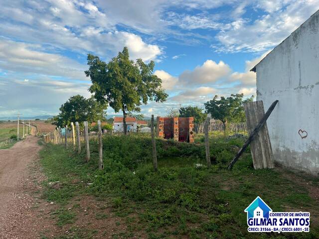 Chácara para Venda em Coronel João Sá - 2