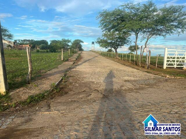 Chácara para Venda em Coronel João Sá - 3
